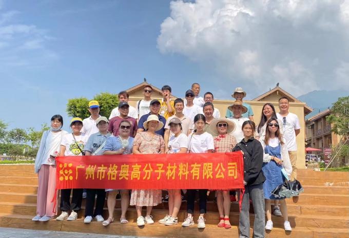 পাইকারি PSAF বিনামূল্যে জল প্রতিরোধী কাপড়ের জন্য জলরোধী চামড়া আসবাবপত্র সুরক্ষা আসবাবপত্র যত্ন জলরোধী স্প্রে 21